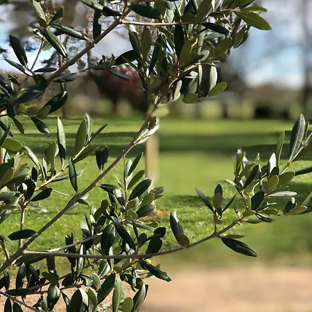 L Esprit Du Clain D Hotes De Standing Proches Du Futuroscope Golf Et De St Cyr Frühstückspension Naintre