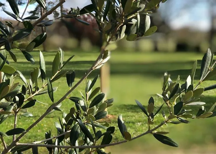 L Esprit Du Clain D Hotes De Standing Proches Du Futuroscope Golf Et De St Cyr Bed and breakfast Naintre